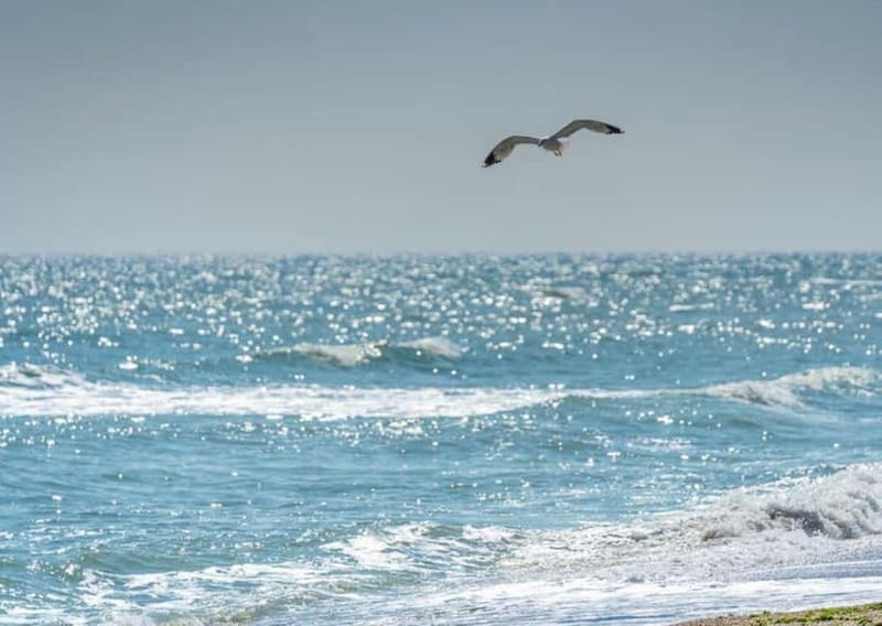 Black Sea from Bucharest, Small Group Tour, up to 7 - A Closer Look at the Itinerary