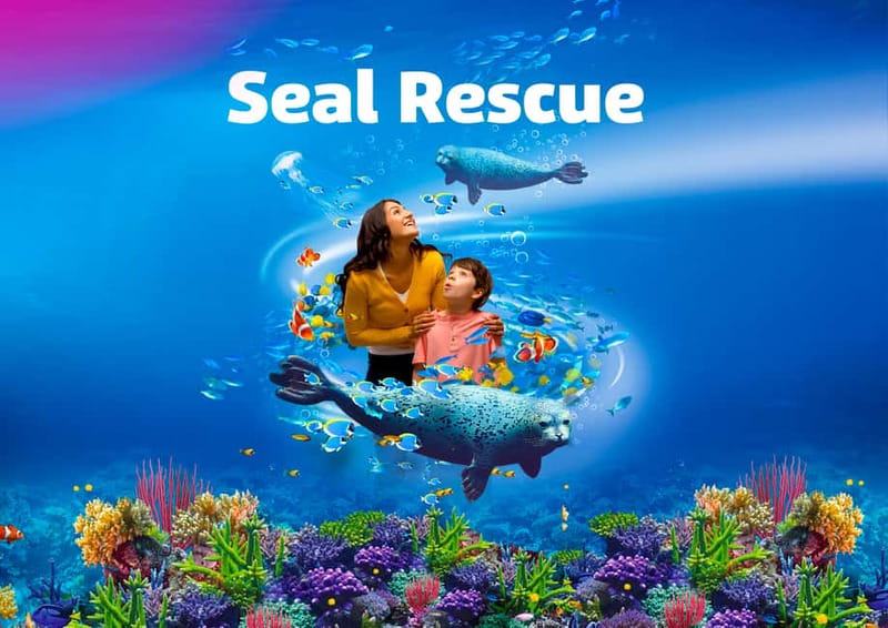 Blankenberge: SEA LIFE Entry Ticket - Who Should Consider Visiting?