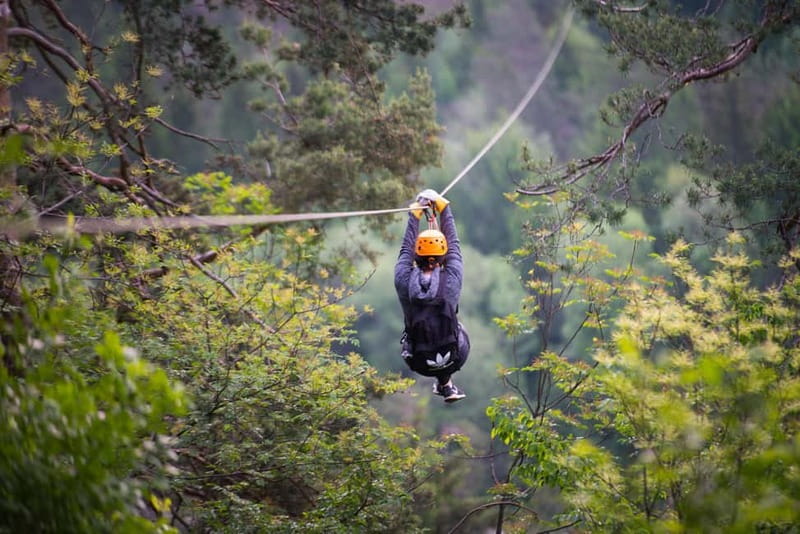 Bled: Europe's Longest Zipline Adventure over Dolinka River - What Travelers Say