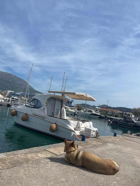 Boat Rental in Marina Bar Montenegro - In-Depth Look at the Boat Rental Experience