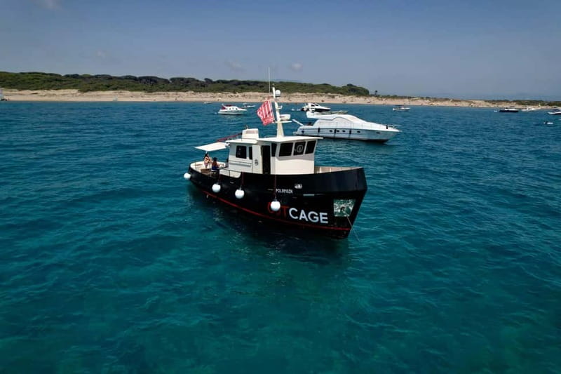 Boat tour Golfo Aranci: Tavolara and Molara Marine Protected Area - An In-Depth Look at the Sardinian Marine Adventure