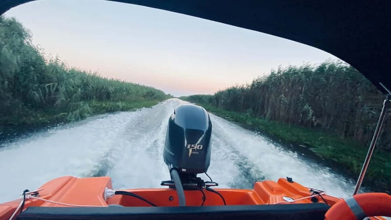 Boat Trip to Caraorman Forest  Danube Delta (67 hours) - What Travelers Say: Authentic Feedback