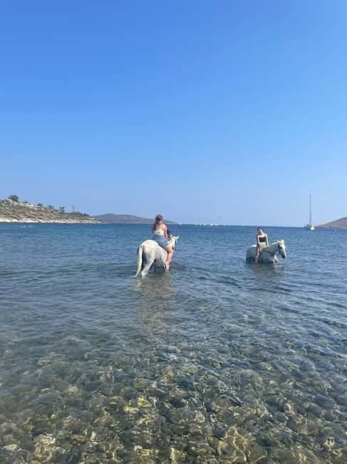 Bodrum Horse Riding Adventure - The Itinerary in Detail