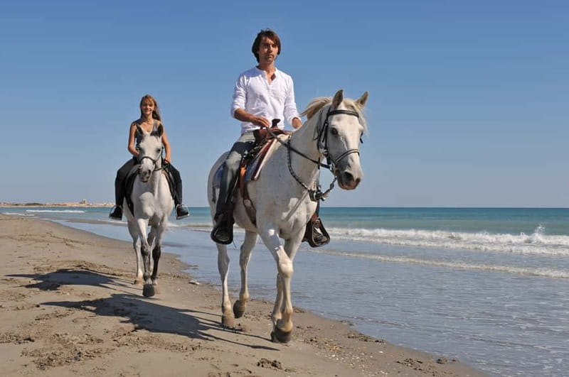 Bodrum: Horseback Riding Experience with Hotel Transfer - Authentic Experiences and Guest Feedback