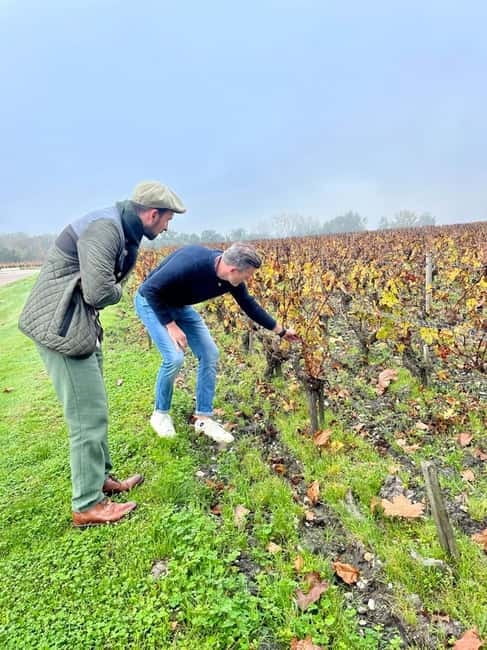 Bordeaux: Graves, Pessac-Léognan, and Sauternes Vineyards - Authentic Experiences and Authentic Value