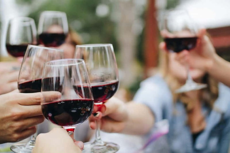 Bordeaux: Médoc Wine Route Private Day Tour & Picnic Lunch - Key Points