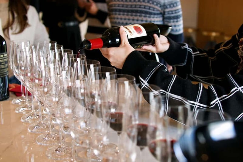 Bordeaux: Medoc Wine Tour to Le Verdon Cruise Port - Analyzing the Value: What’s Included and What’s Not