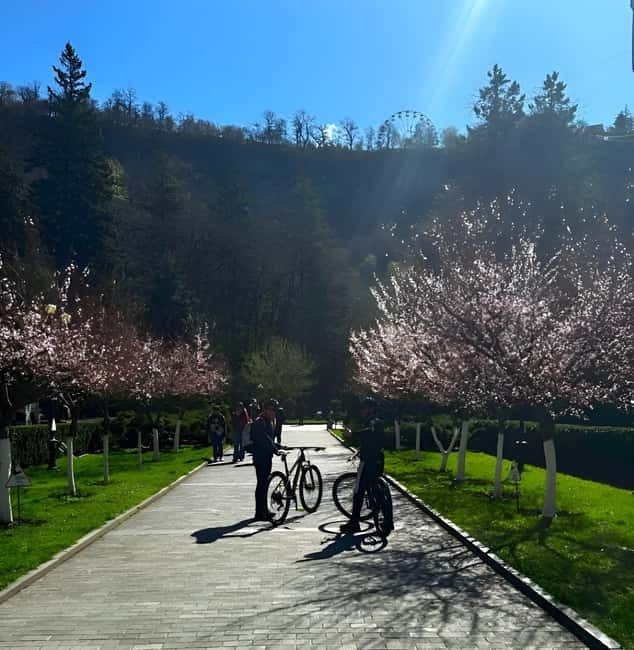 Borjomi Gorge Guided Bike Tour - The Route and the Downhill Experience