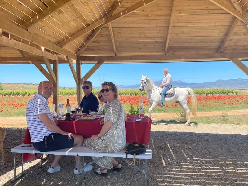 Boutique Rioja Wine Tour with Charming Lunch (From Bilbao) - Is It Worth the Price?