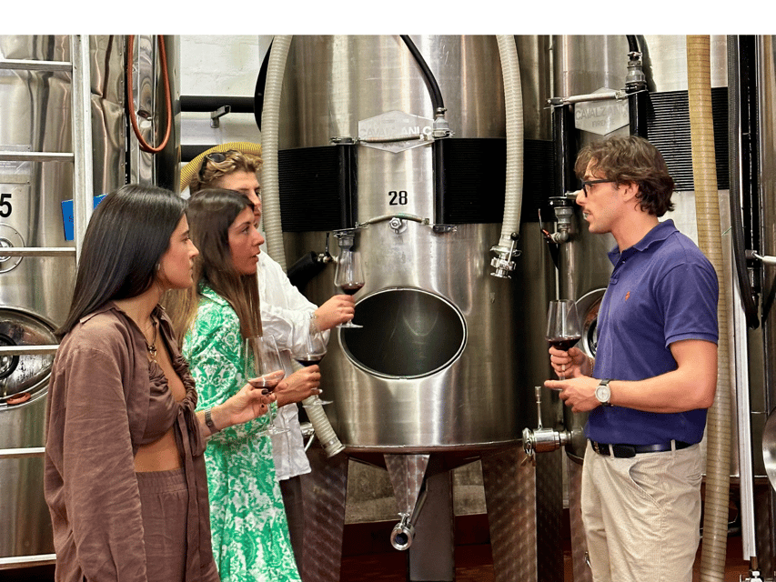 Boutique Winery Tour with Wine Tasting & Food in Bologna - Exploring the Winery: From Grape to Glass