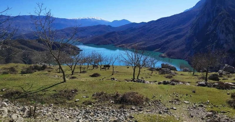Bovilla Lake, Hiking and Swimming, Private Tour with SUVs - An In-Depth Look at the Bovilla Lake Private Tour