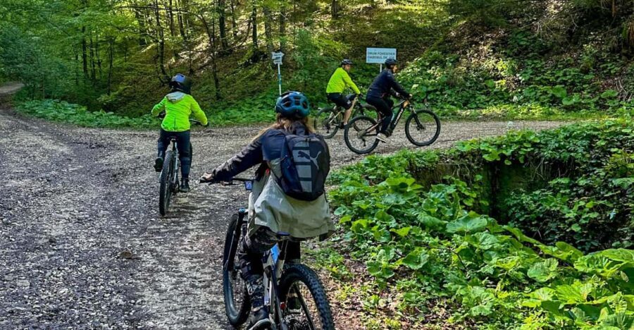 Brasov: eBike Tour to Poiana Brasov (Old Town & Forest) - An In-Depth Look at the Brasov eBike Tour
