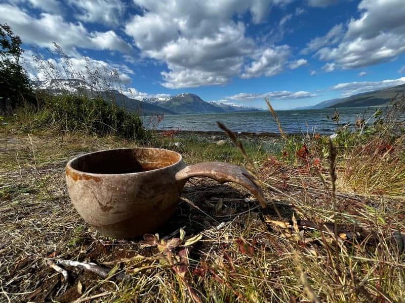 BRENNFJELL: Brennfjellet Hiking Adventure - What to Expect on Your Hike  