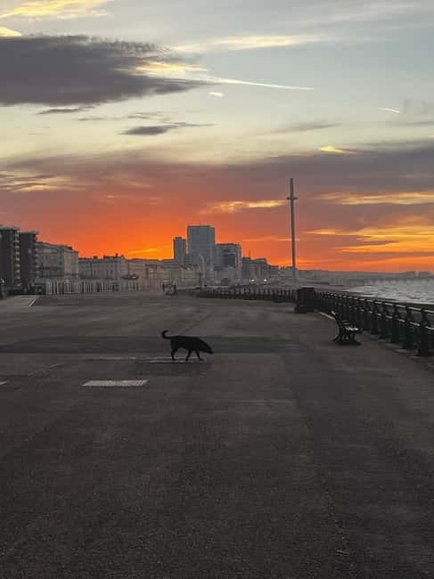 Brighton Beach: Sunrise Hatha Yoga Class with Ocean Views - Final Thoughts