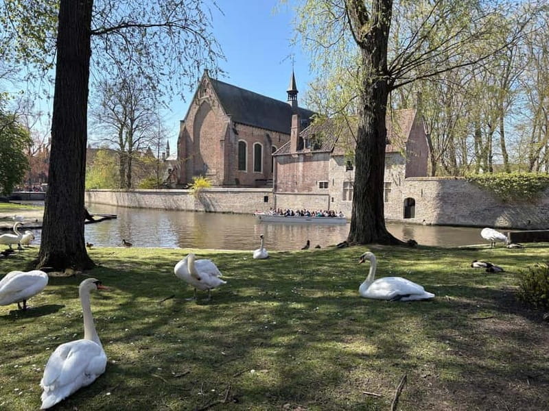Bruges highlights, hidden gems & chocolate tour,small group - Who Will Love This Tour?