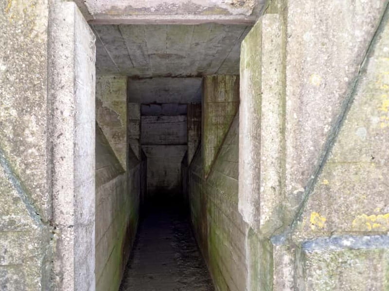 Brussels: Private World War I Tour: Trenches & Battlefields - A Detailed Look at the Experience