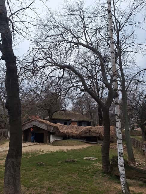 Bucharest: Arc de Triomphe & Village Museum Guided Tour - What to Expect and Practical Tips
