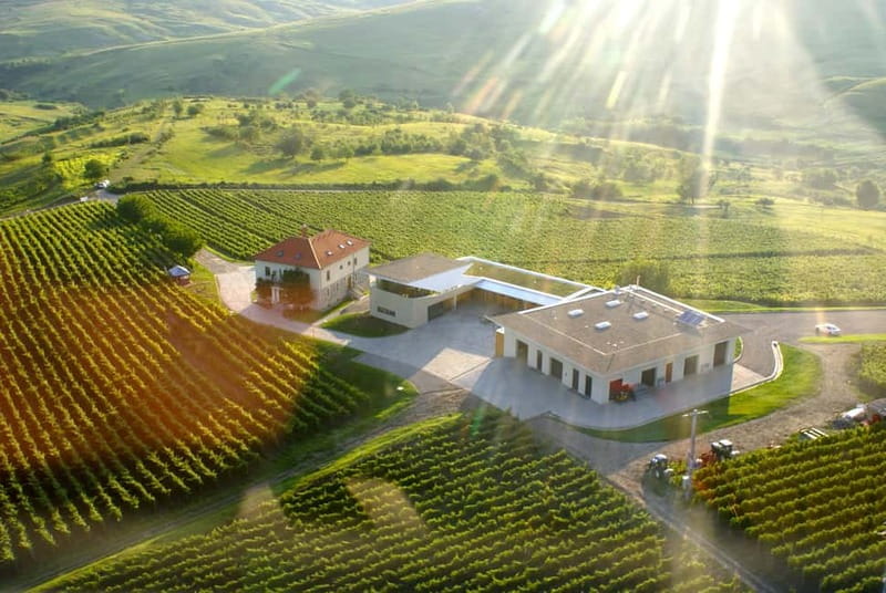 Bucharest: Taste the Magic of Wine in Romanias Tuscany - The Itinerary in Detail