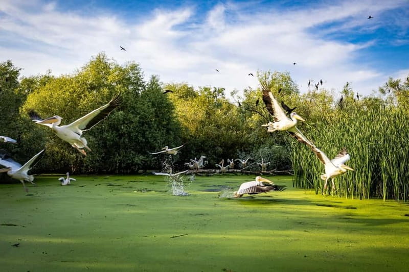 Bucharest: Tour to Danube Delta 2-Days With Boat Tour - What Real Travelers Say