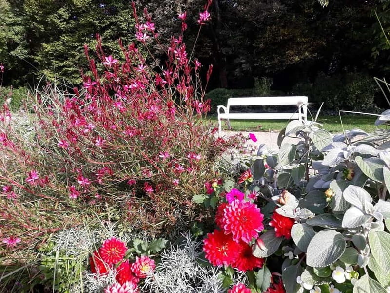 Budapest: Best Gardens Walking Tour & Hungarian Folk Music - Authentic Experiences That Matter