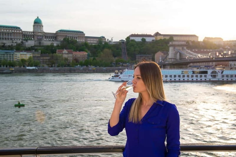Budapest: Danube Cruise with Audioguide & Panorama Terrace - Why This Cruise Works Well for Different Travelers