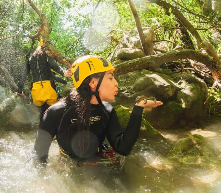Budva Canyoning: Drenostica Canyon Adventure - Who Should Consider This Tour?
