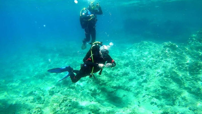 Budva: Scuba Diving Experience - What’s Included and What to Consider
