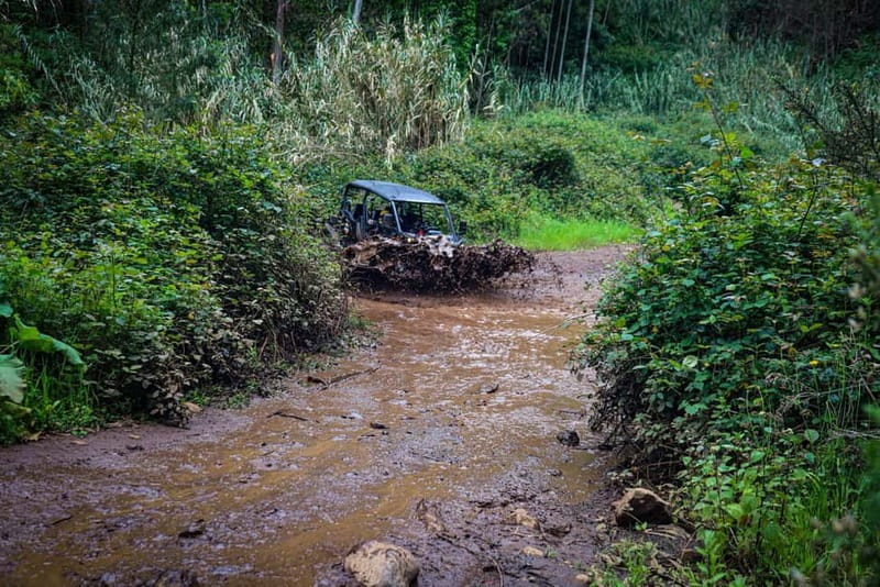 Buggy FunTrip Madeira - Off-Road Valley Adventure Tour - What Makes This Tour Stand Out?