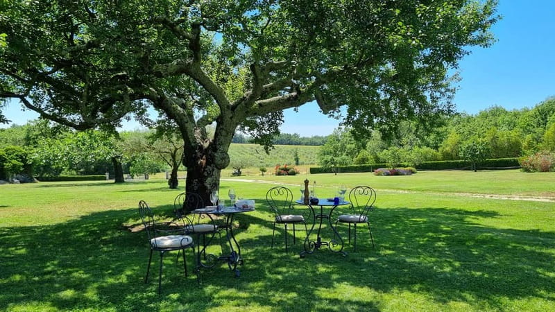 Buje: Istrian Family Farm with Walking Tour, Food, and Wine - Key Points