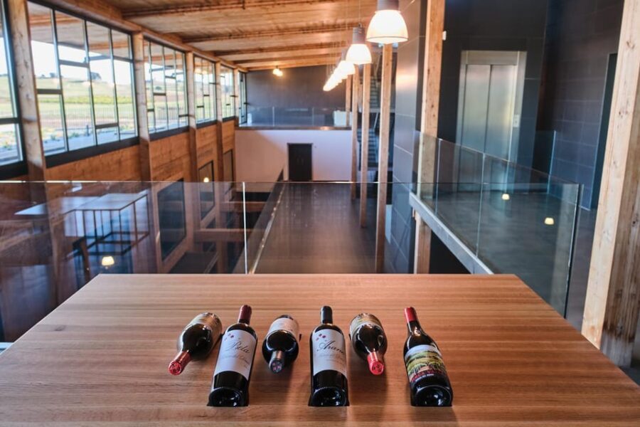 Burgos: Bela Winery - Villalba de Duero - Exploring Bela Winery: A Detailed Look
