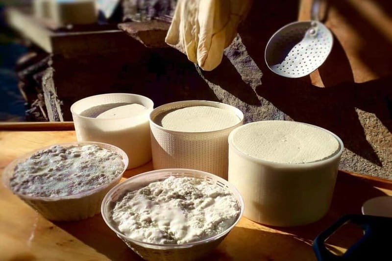 Burgos: Sardinian Pecorino Cheese Workshop - What You Can Expect from the Sardinian Pecorino Cheese Workshop