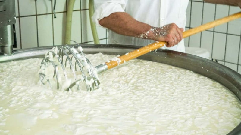 Burgos: Sardinian pecorino cheese workshop - In-Depth Review: What to Expect and Why It Matters