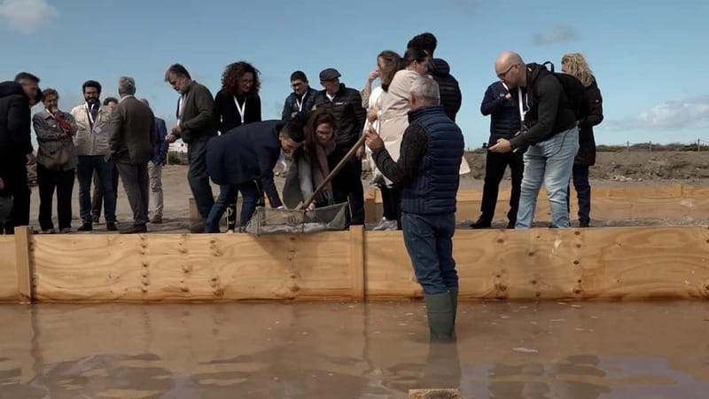 Cabo De Gata Salt Flats: Salt worker for a day. - What to Bring and Tips for a Better Experience