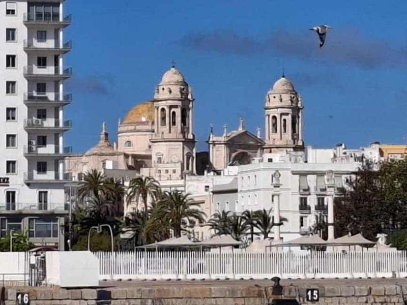 Cadiz and its Bay: a day trip from Seville - Exploring Cadiz’s Historic Heart