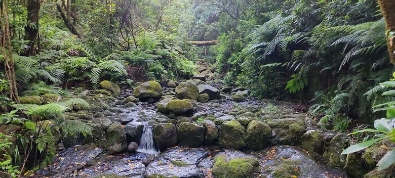 Caldeirão Verde: Queimadas PR9 Transfer and Self-Guided Hike - The Whole Experience at a Glance