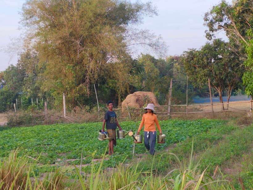 Cambodia Cooking Class, Oxcart Ride with Local Village Tour - Starting Off: Hotel Pickup and Private Transport