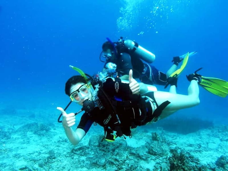 Cambrils: club Scuba Diving for beginners with hotel pickup - The Reality of the Experience: Pros and Cons