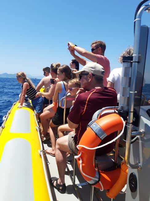 Can Picafort or Alcudia: Private boat dolphin watching - Authentic Experiences and Real Reviews