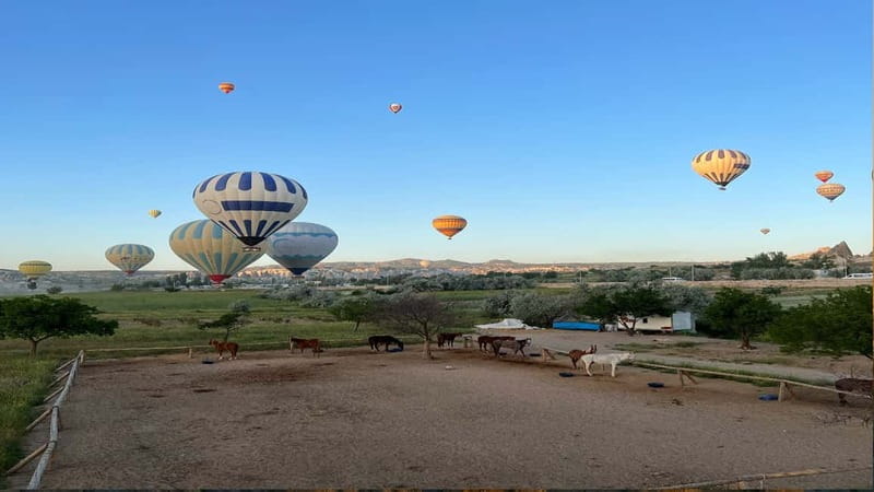 Cappadocia: Hot Air Balloon Flight with Hotel Pickup - Key Points