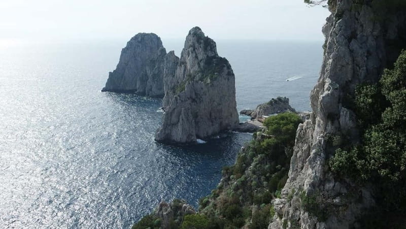 Capri: Premium Wine Tasting Experience with Faraglioni Views - What Makes the Wines and the Experience Special?