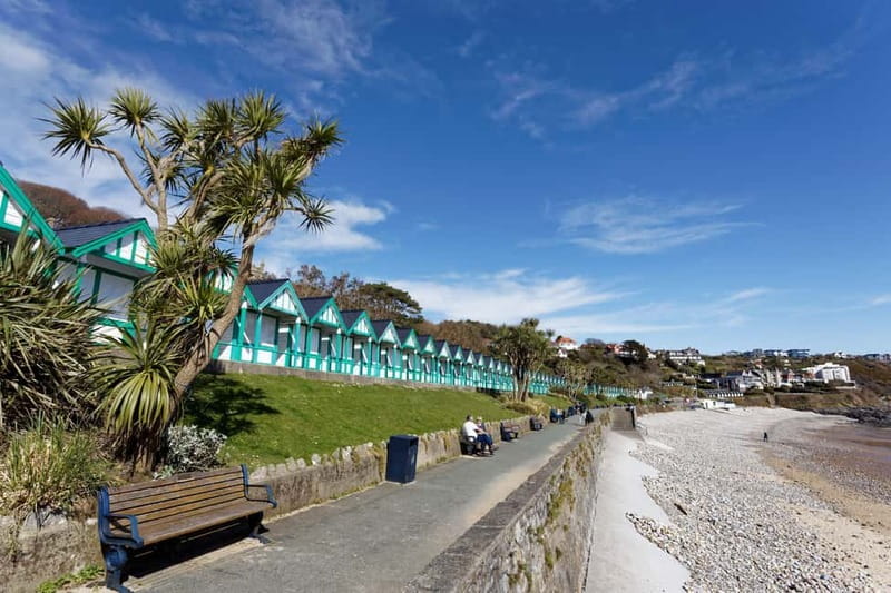 Cardiff: Private Day Tour Gower's Cliffs & Beaches - Practical Considerations