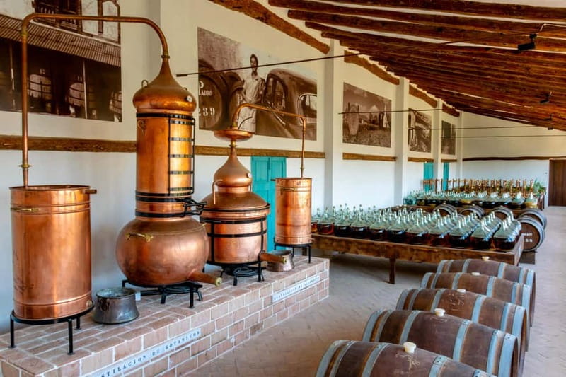 Casa Vermouth Padró: Vermouth tasting and guided visit in Bràfim (Tarragona) - The Sum Up