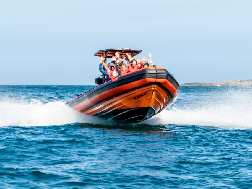 Cascais: Dolphin Watching Tour - The Experience in Action: What Our Readers Say
