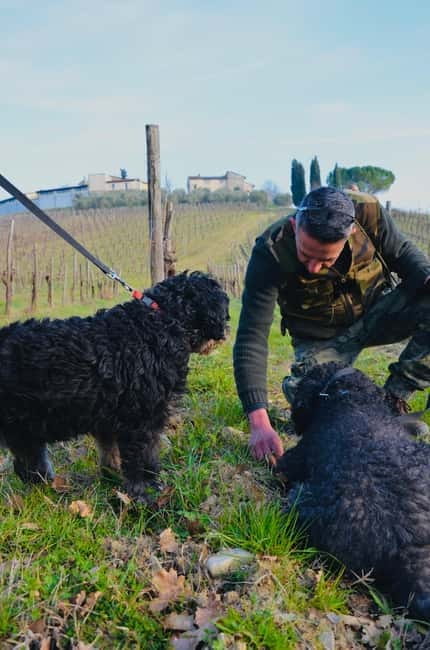 Castellina in Chianti: Truffle Search, Wine Tasting & Lunch - The Experience Provider: Mazza  