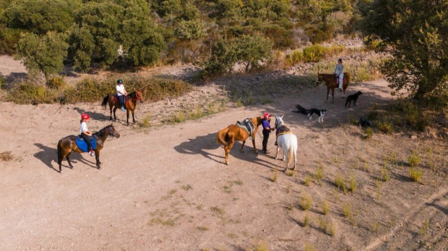 Castelsardo: horseback in Sedini - The Value of the Experience