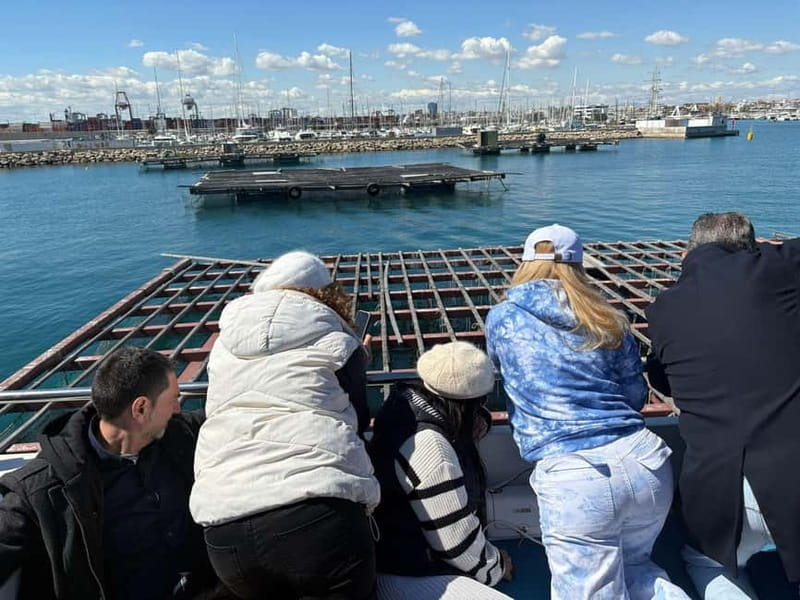 Catamaran trip and visit to the mussel nurseries with a snack - Visiting the Mussel Nurseries: A Glimpse into Valencian Seafood Traditions