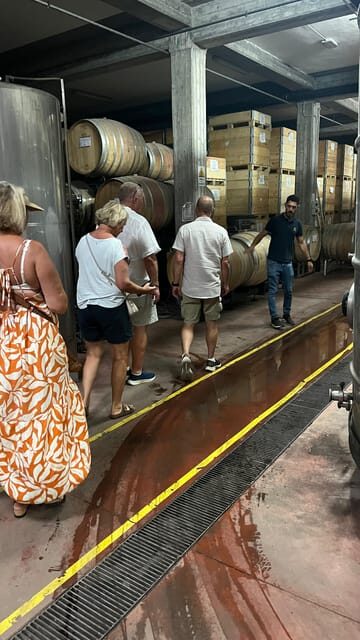 Catania: Wine Tour - Final Thoughts