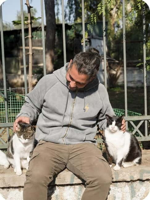 Cats of Athens - Walking Tour - What to Expect from the Cats of Athens Walking Tour