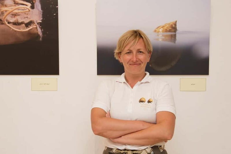 Cavtat: Shell Museum Private Guided Tour - The Itinerary in Detail
