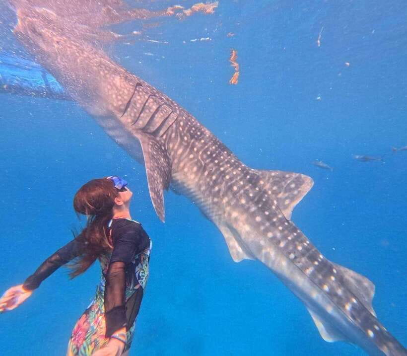 Cebu: Oslob Whale Shark Watching and Badian Canyoneering - Analyzing the Value and Practicalities